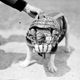 Illustration for article titled Even In The 1900s, Humans Were Obsessed With Photos Of Dogs In Clothes